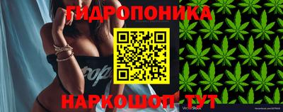 гидра Балахна