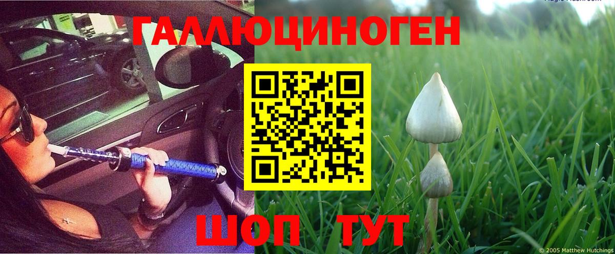 Псилоцибиновые грибы Cubensis  Галлюциногенные грибы Psilocybine cubensis  Вход с VPN  Берёзовский 